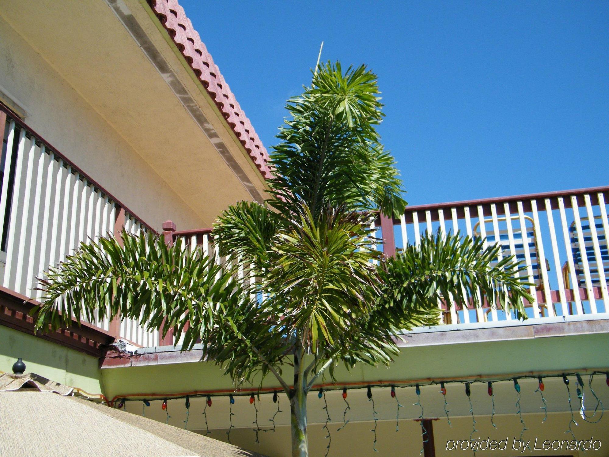 Tropicaire Resort Lauderdale-by-the-Sea Exterior photo